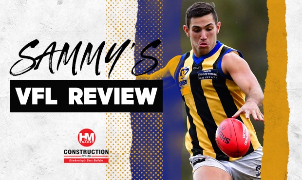 Sandringham Senior Coach Aaron Hamill has his say on the Saints' best performers in the VFL. - St Kilda Saints,VFL,Hugh Goddard,Darren Minchington,Ray Connellan,Luke Dunstan,Oscar Clavarino,Doulton Langlands